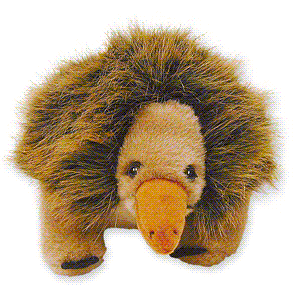 echidna stuffed animal